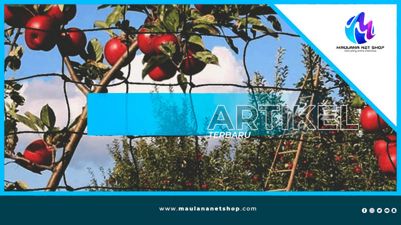artikel-maulana-net-shop-3
